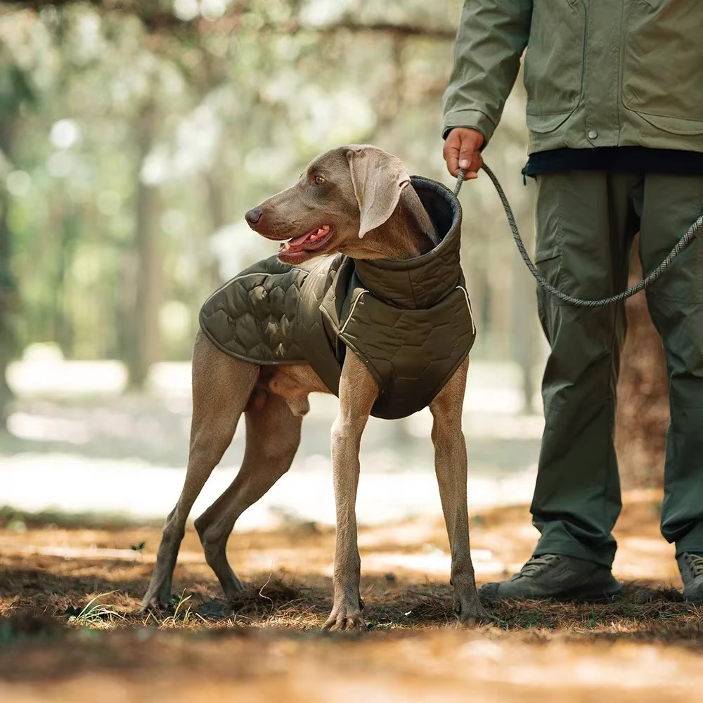 Reflektierende Winterjacke für Hunde – Komfort, Wärme und Sicherheit!