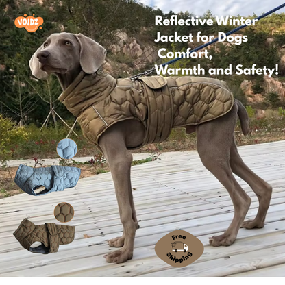 Reflektierende Winterjacke für Hunde – Komfort, Wärme und Sicherheit!
