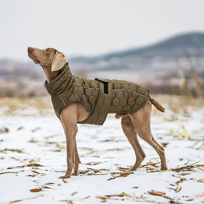 Reflektierende Winterjacke für Hunde – Komfort, Wärme und Sicherheit!