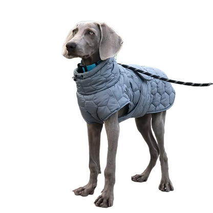 Reflektierende Winterjacke für Hunde – Komfort, Wärme und Sicherheit!