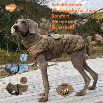 Reflektierende Winterjacke für Hunde – Komfort, Wärme und Sicherheit!