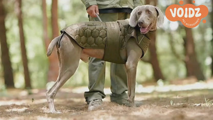 Reflektierende Winterjacke für Hunde – Komfort, Wärme und Sicherheit!